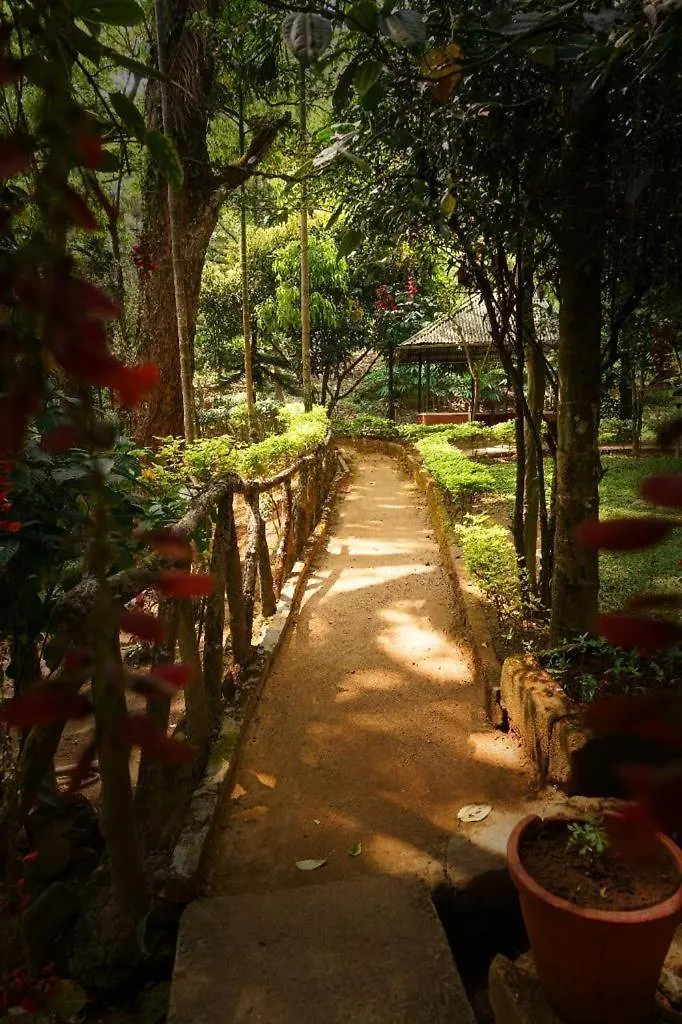Glenmore Resorts Munnar Anachal India